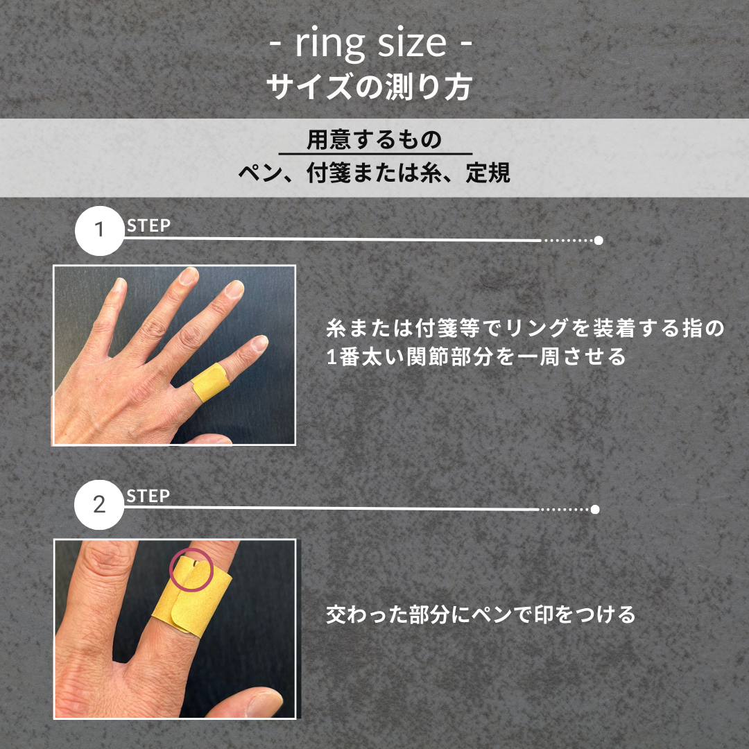 Ee スマートリング 〈Silver / Black〉