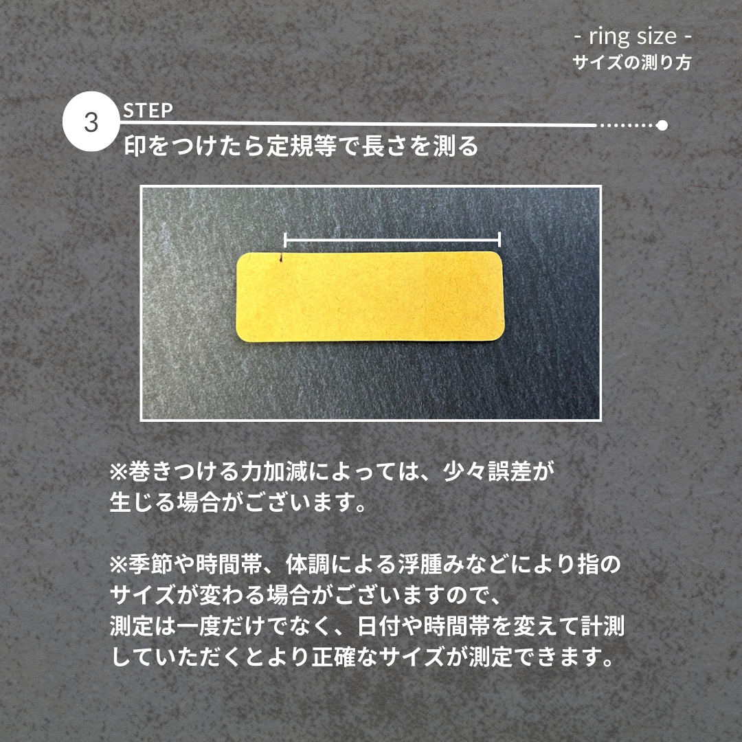 Ee スマートリング 〈Silver / Black〉